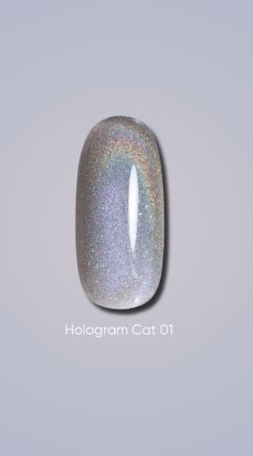 Гель лак Dark Hologram Cat 01, 6ml 19943 фото